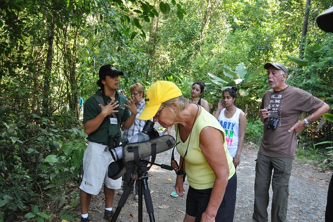 Manuel Antonio National Park Hiking Tour from Jacó - Three monkey species and the animals you may find