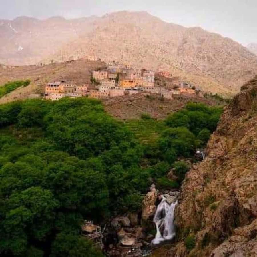 Marrakech: Atlas Mountains & Valleys Waterfall Hike w/ Lunch - What the guides add to the day