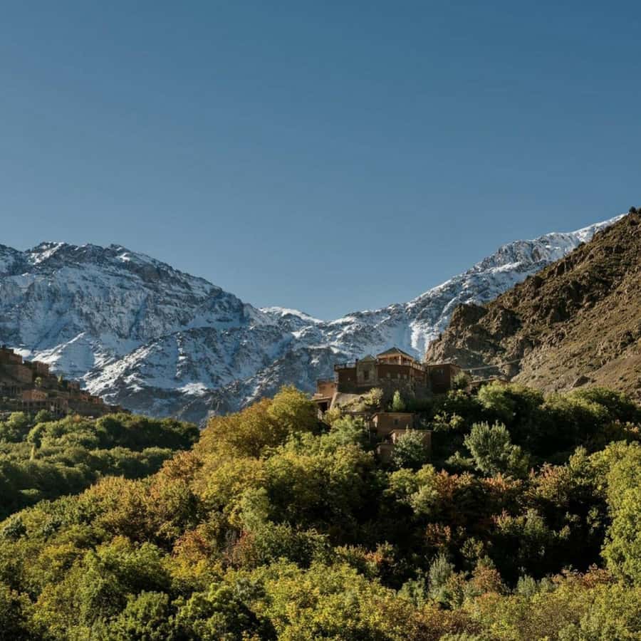 Marrakech: Atlas Mountains & Valleys Waterfall Hike w/ Lunch - How much value do you get for $18?