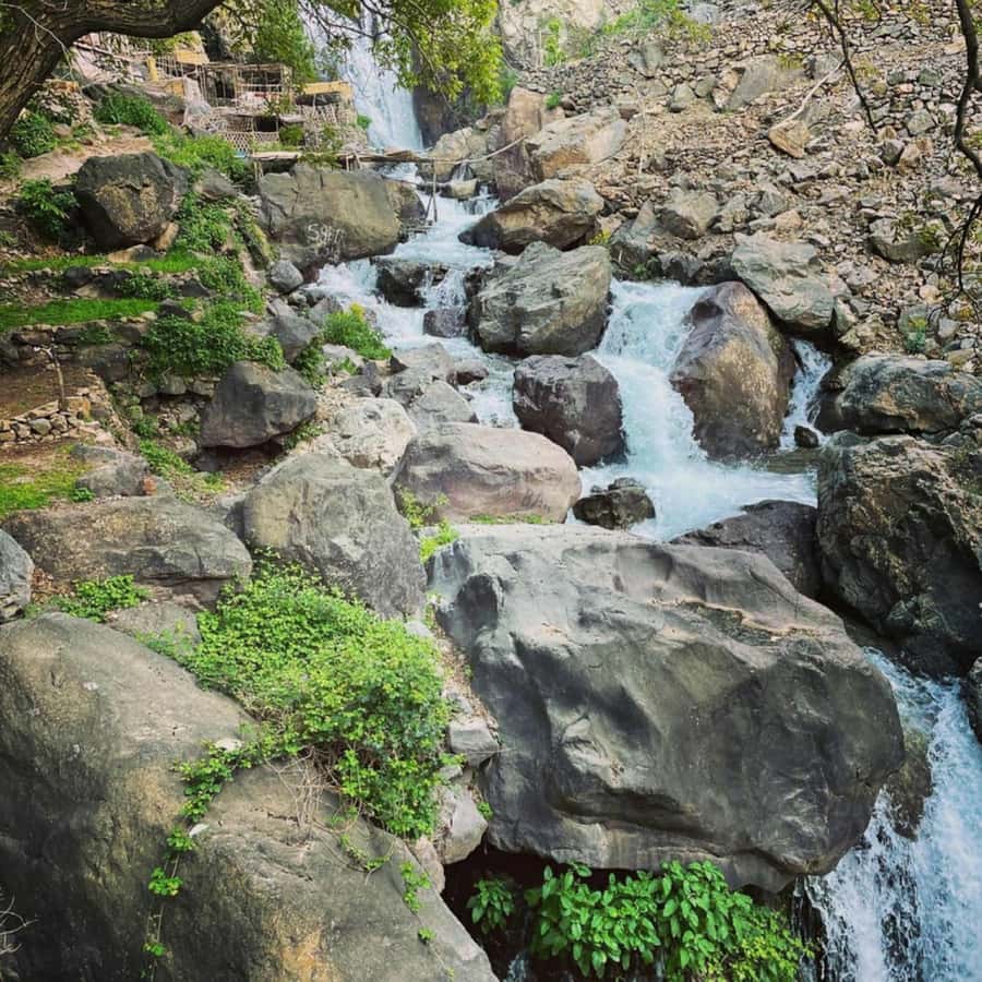 Marrakech: Atlas Mountains & Valleys Waterfall Hike w/ Lunch - My take: a low-cost day with real local contact
