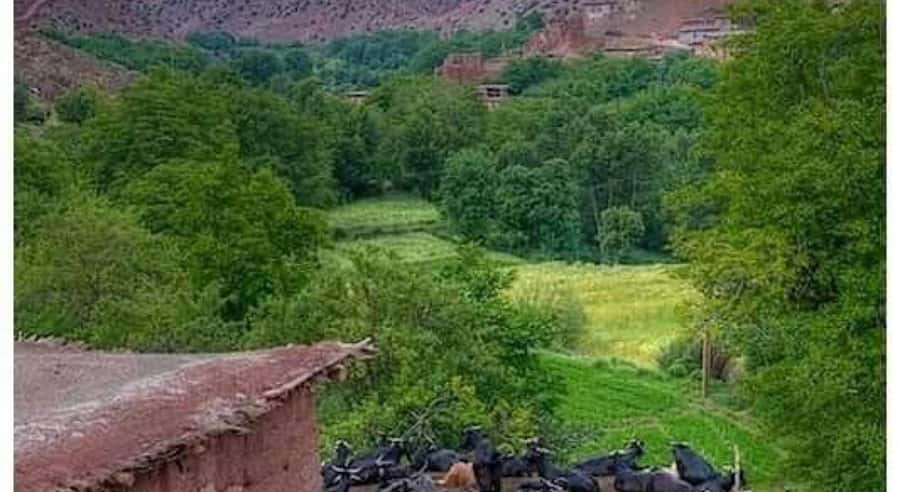 Marrakech: ourika valley lunch & guided hike to waterfalls - What the $12 price really delivers