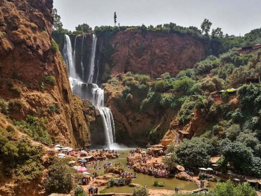 Marrakesh: Ouzoud Waterfalls Trip with Hike & Boat Option - Olive trees, monkeys, and the human side of the stop
