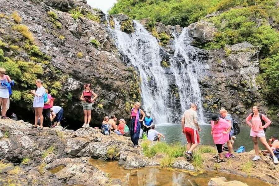 Mauritius: 7 Waterfalls Hike with Lunch and Hotel Transfers - Guides make the difference on an unmarked route