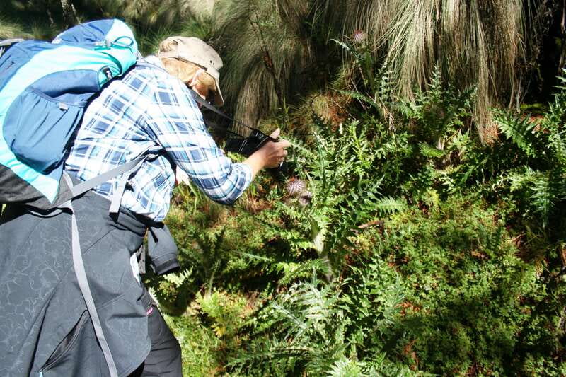 Mexico City: Guided Volcano Trek with Lunch - What Paso de Cortés tells you about the volcanoes