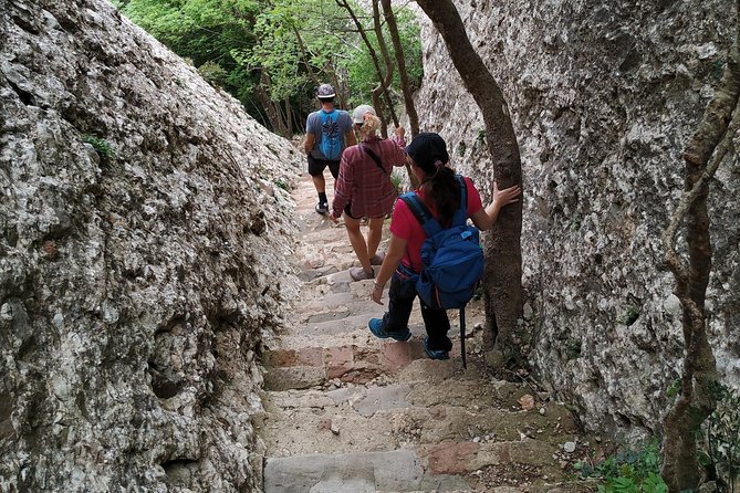 Montserrat Hiking Experience & Monastery Premium Small Group Tour - Three hours on Montserrat’s less-used trails