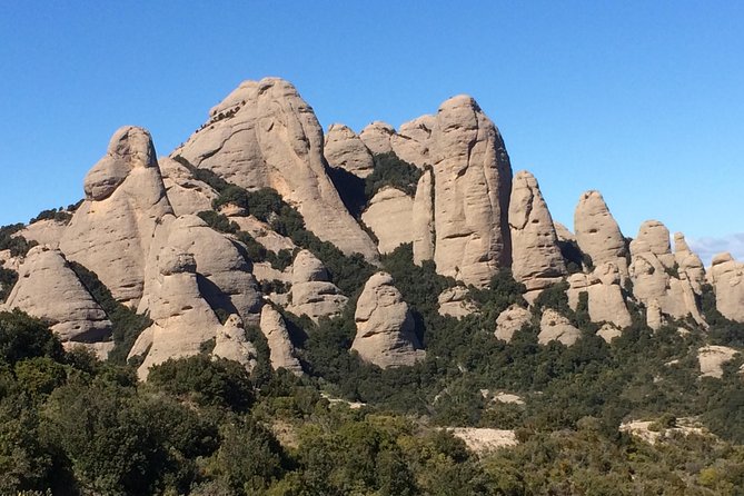 Montserrat Hiking Experience & Monastery Premium Small Group Tour - Free time, local food, and the farmer’s market