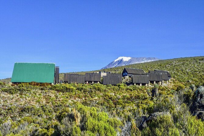 Mount Kilimanjaro Day Hike Through Marangu Route to Mandara Hut - What this one-day Kilimanjaro hike really offers
