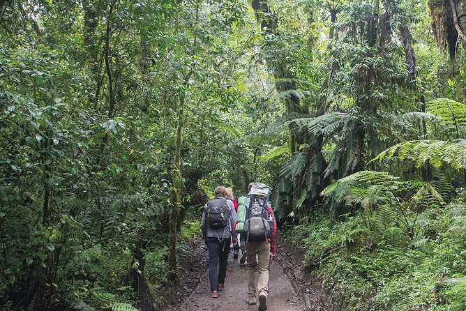 Mount Kilimanjaro Day Hike Through Marangu Route to Mandara Hut - Mandara Hut at 2,700 meters