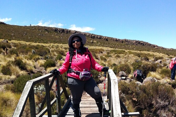 Mount Kilimanjaro Day Hike - Hiking the Marangu Route through the rainforest