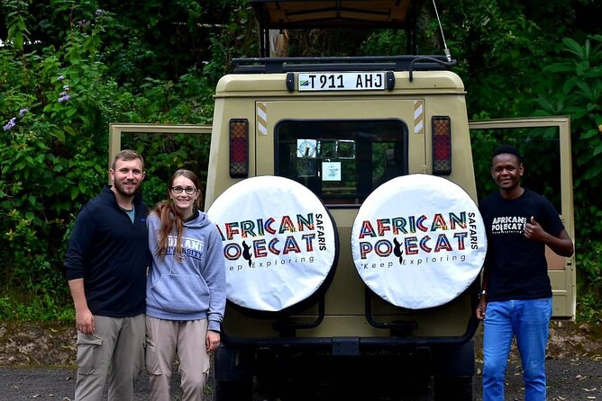 Mountain Kilimanjaro Day Hike - The uphill walk to Mandara Huts