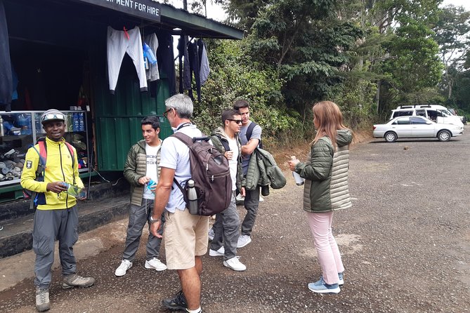 Mountain Kilimanjaro Day Hike - Mandara Huts and the picnic lunch