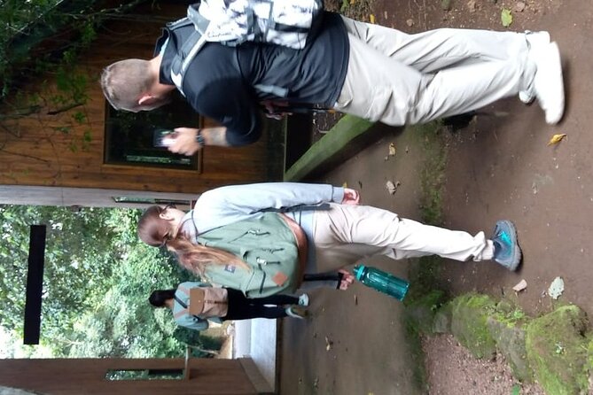 Mountain Kilimanjaro Day Hike - The descent and return to town