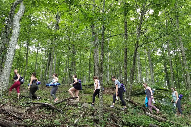 Mountaintop Yoga & Meditation Hike in Asheville - What the $75 price includes