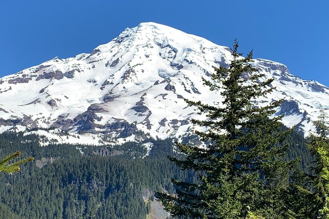 Mt. Rainier highlights - old forest, falls and glaciers - Snowshoeing from November through June