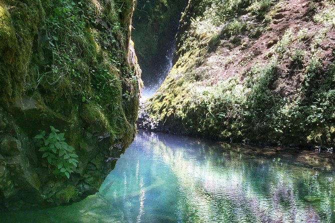 Multnomah Falls and Columbia River Gorge Half-Day Hiking Tour - Multnomah Falls gives you the classic Gorge view