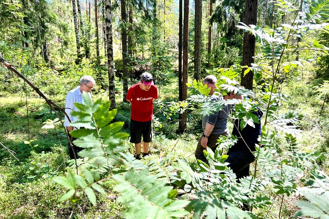 National Park Hike & Finnish Smoke Sauna Experience with Campfire Lunch - What the guides add to the day