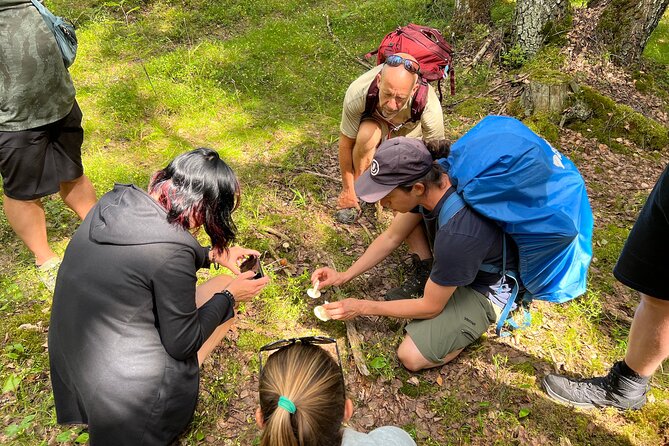 National Park Hike & Finnish Smoke Sauna Experience with Campfire Lunch - Timing, clothing, and small practical details
