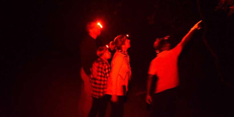 Night Hike to see Elusive & Rare Loris in Sigiriya - Practical details that matter
