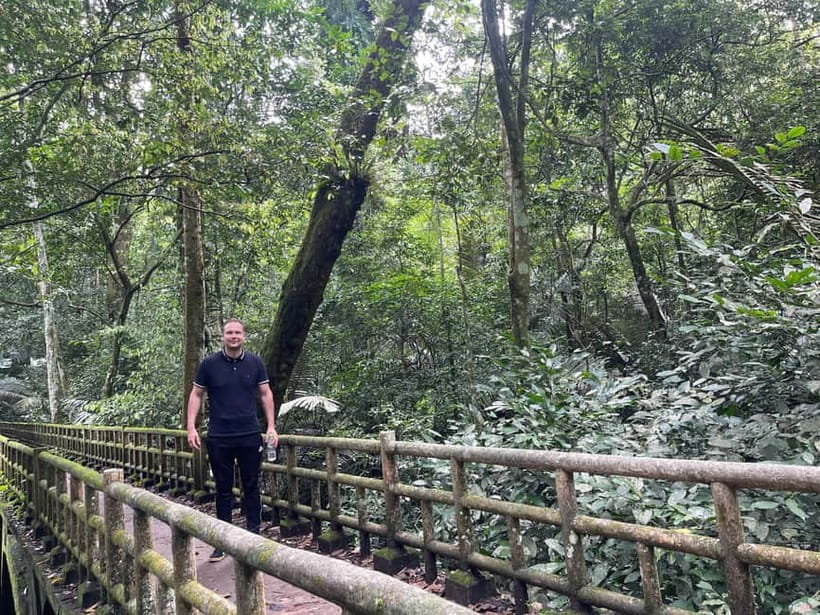Ninh Binh: Cuc Phuong Jungle Hike & Wildlife Day Trip - Why Cuc Phuong makes a better forest day than a quick photo stop