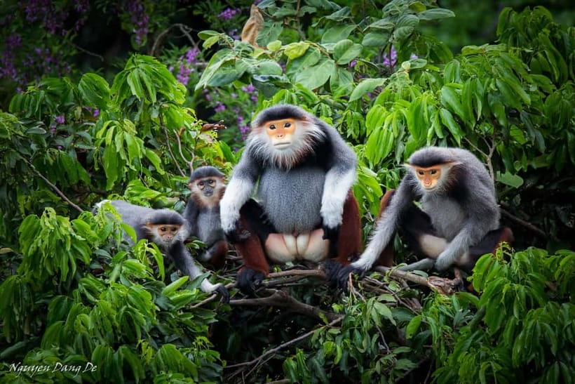 Ninh Binh: Cuc Phuong Jungle Hike & Wildlife Day Trip - Botanical gardens and the visitor center set the scene
