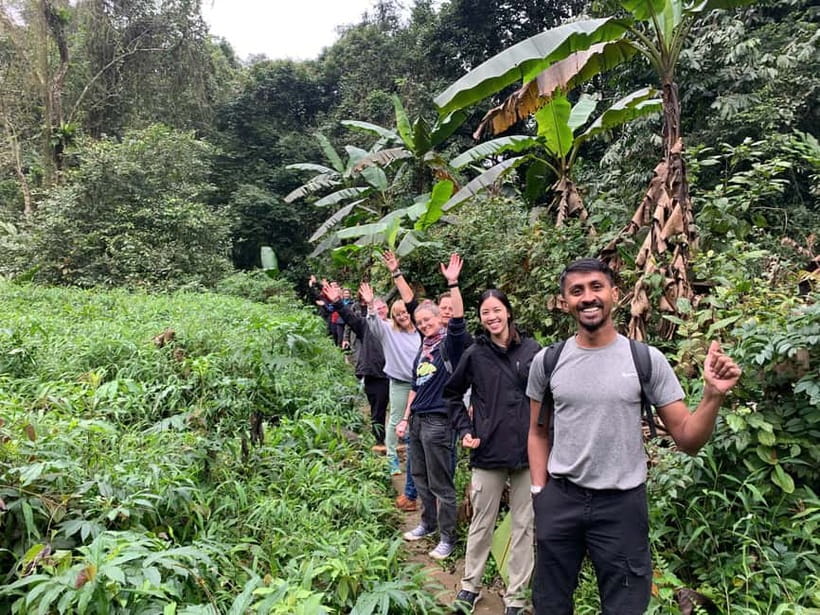 Ninh Binh: Cuc Phuong Jungle Hike & Wildlife Day Trip - Cay Cho tree and the prehistoric cave add real character