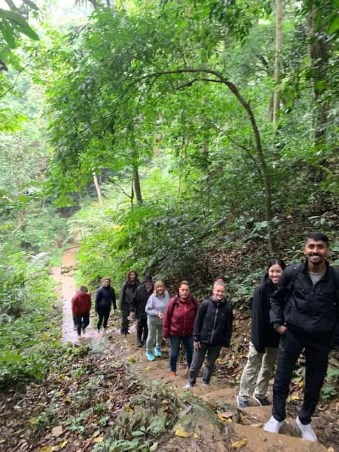 Ninh Binh: Cuc Phuong Jungle Hike & Wildlife Day Trip - What the guides add to the day