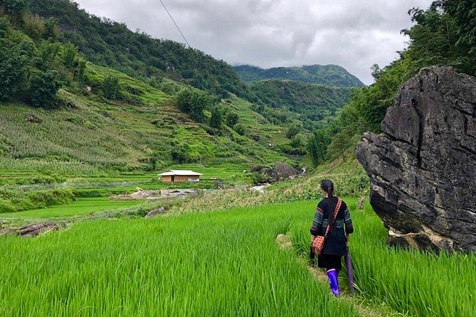 Number one top rated ethical cultural trekking and homestay by ETHOS - Meeting ETHOS at 8:30 in Sapa