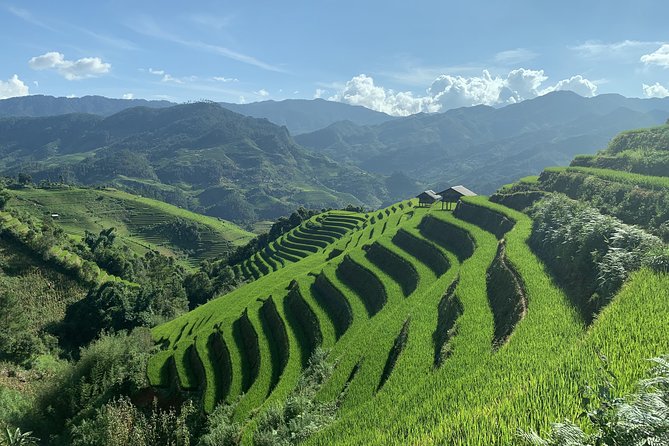 Number one top rated ethical cultural trekking and homestay by ETHOS - Day two: choose your own level of challenge