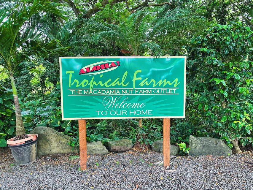 Oahu: Diamond Head Crater Hike and North Shore Experience - What to bring and how to pace yourself