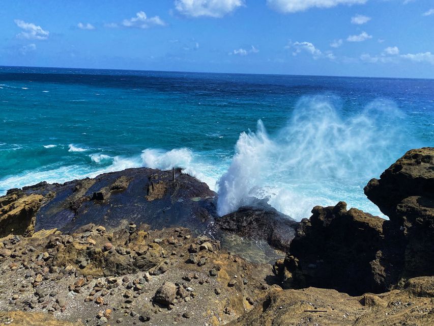 Oahu: Diamond Head Crater Hike and North Shore Experience - Macadamia nuts offer a short farm stop