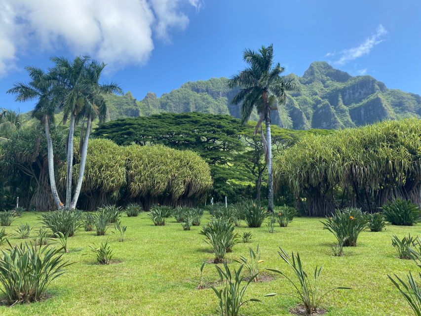 Oahu: Diamond Head Crater Hike and North Shore Experience - The driver can make or break the day