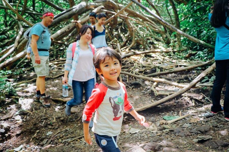 Oahu: Manoa Falls Waterfall Hike with Lunch and Transfers - Group pace, guides, and the feel of the outing