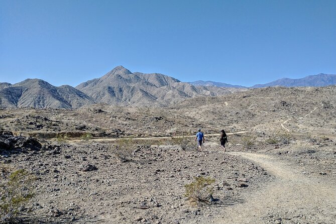 Palm Springs Hike to an Oasis and Amazing Desert Views - A quiet route above Palm Springs