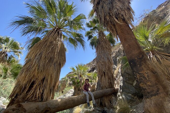 Palm Springs Hike to an Oasis and Amazing Desert Views - Viewpoints over the Coachella Valley