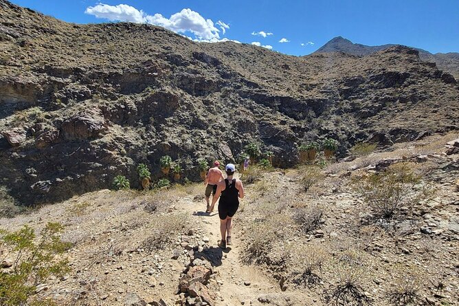 Palm Springs Hike to an Oasis and Amazing Desert Views - The palm oasis changes the mood