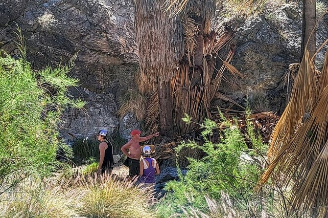 Palm Springs Hike to an Oasis and Amazing Desert Views - What the guide adds to the morning