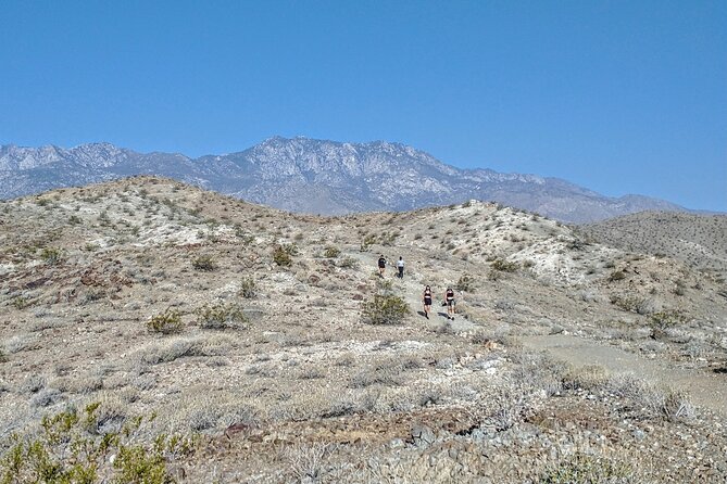 Palm Springs Hike to an Oasis and Amazing Desert Views - The first climb tests your legs