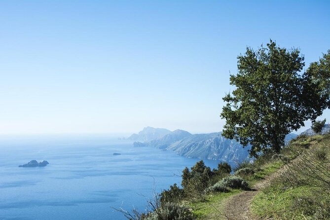 Path of the Gods Private Hiking Tour from Agerola - Key points to know before booking