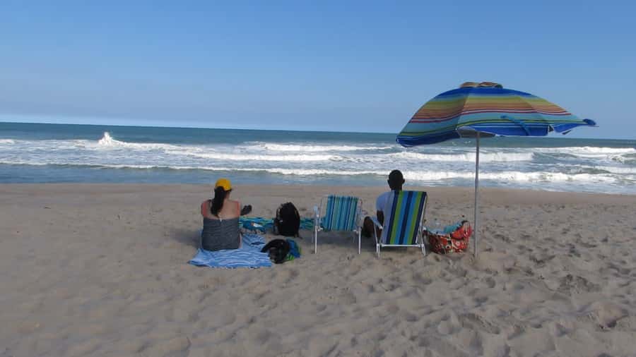Pedra do Telégrafo Hike and Beach Full-Day Tour - Practical packing advice for a smoother day