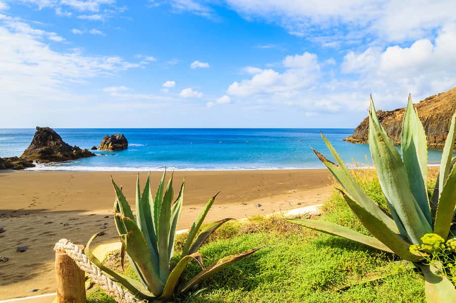 Pedra do Telégrafo Hike and Beach Full-Day Tour - What the $56 price really covers