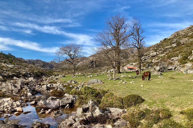 Peneda-Gerês Hiking & Sightseeing: Private Experience - What the $144.82 price buys you