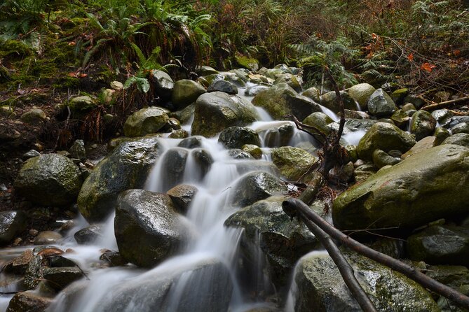 Photography, Gondola & Snowshoeing - What this Vancouver photo hike actually offers