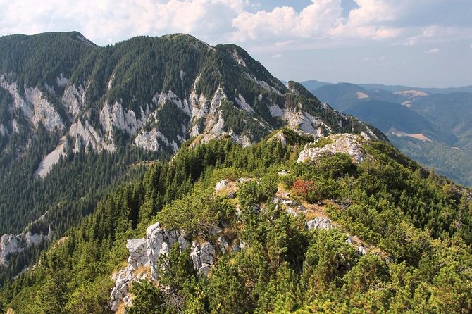 Piatra Craiului National Park Private Hiking Tour from Brasov - Leaving Brasov for Piatra Craiului