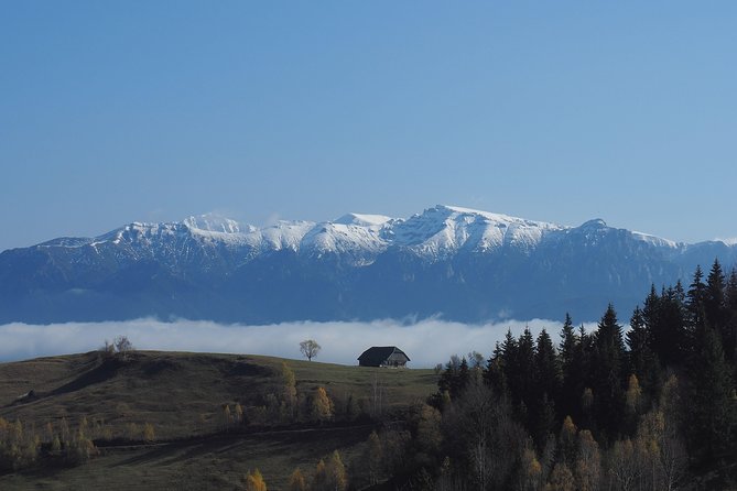 Piatra Craiului National Park Private Hiking Tour from Brasov - Guides who shape the day
