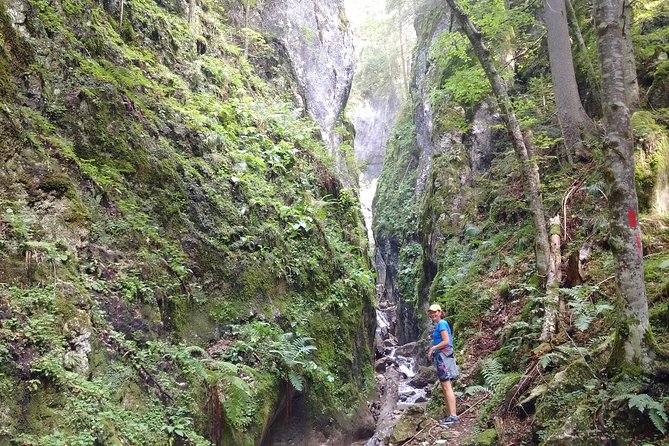 Piatra Craiului National Park Private Hiking Tour from Brasov - How hard is the hike?