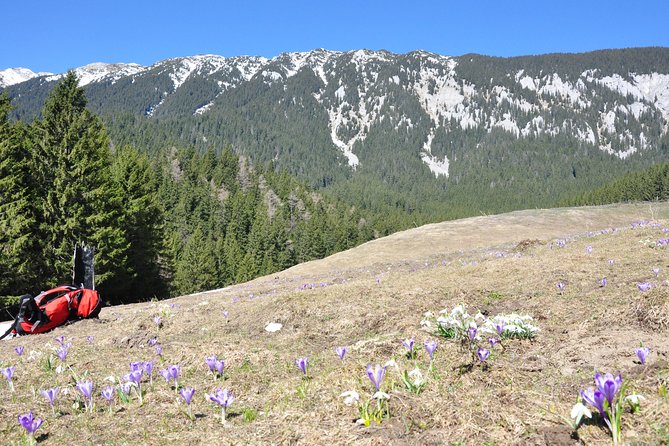 Piatra Craiului National Park Private Hiking Tour from Brasov - Lunch and the optional village stops