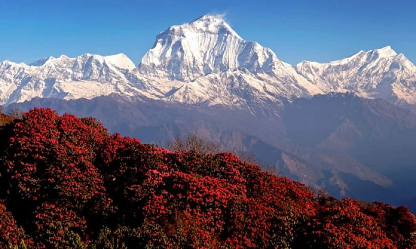 Pokhara: 3-Day Ghorephani and Poon Hill Private Trek - The long return to Nayapul and Pokhara