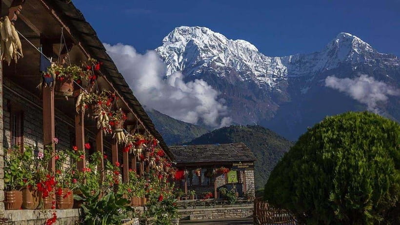 Pokhara: 4-Day Ghorepani, Poonhill & Ghandruk Mountain Trek - Who should book this four-day trek?
