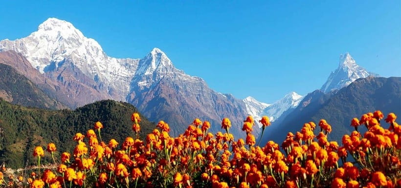 Pokhara: 4-Day Ghorepani, Poonhill & Ghandruk Mountain Trek - Day 1: Pokhara to Nayapool, then the long climb to Ulleri