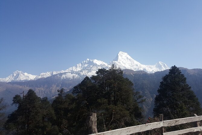 Poon hill Trek 3 days - What the $230 price covers